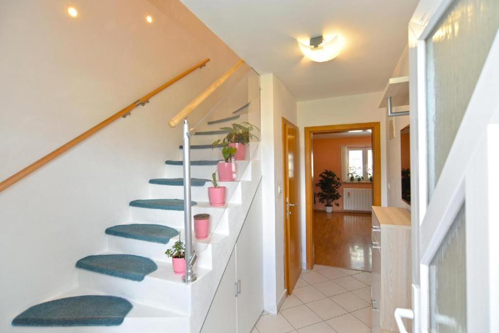 Apartman Eda Pula Extérieur photo